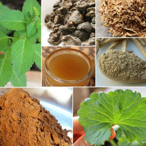 Ayurvedic Herbs