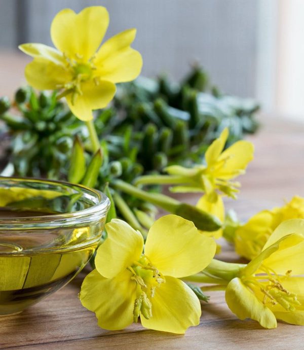 Evening Primrose Oil