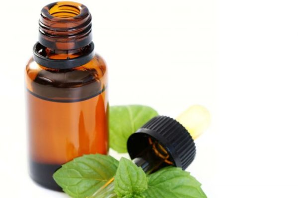 Peppermint Essential Oil