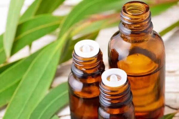 Eucalyptus Fragrance Oil